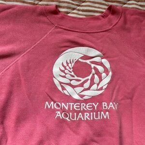 Vintage 80s Monterey Bay Aquarium Hanes 50/50 Raglan Sweatshirt